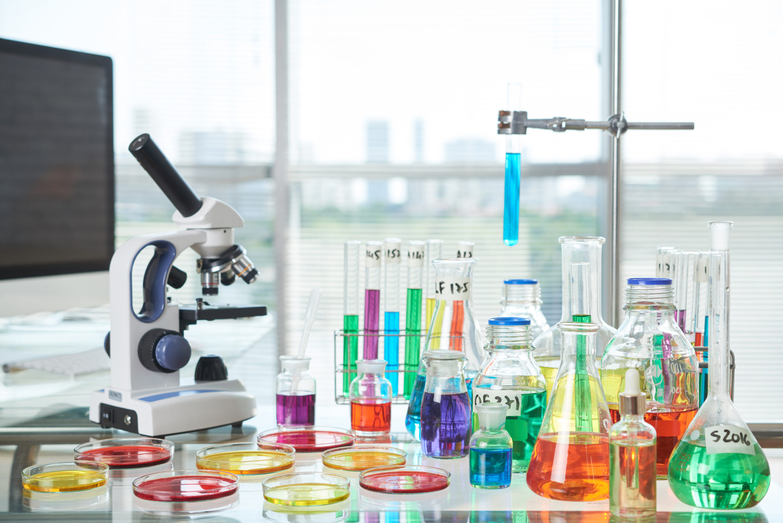 Interior of modern laboratory: desk with Petri dishes, test tubes, flasks and modern microscope on foreground, panoramic windows with blinds on background